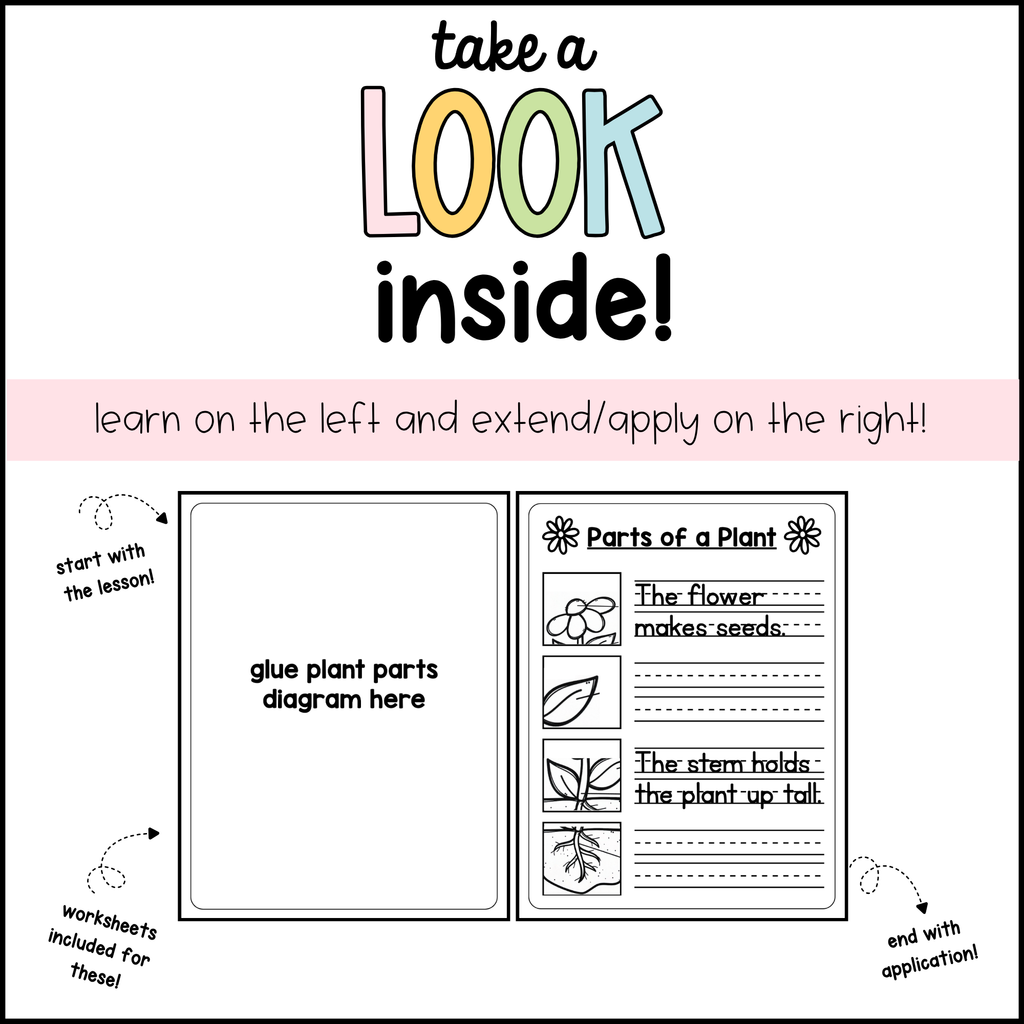 interactive plant book